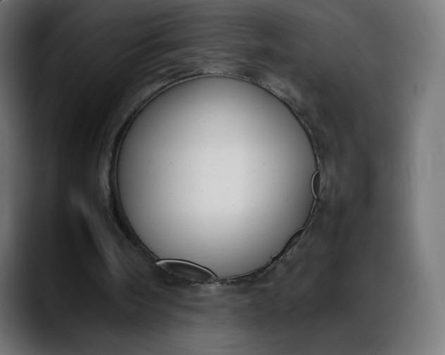 X0000088050098200705251330