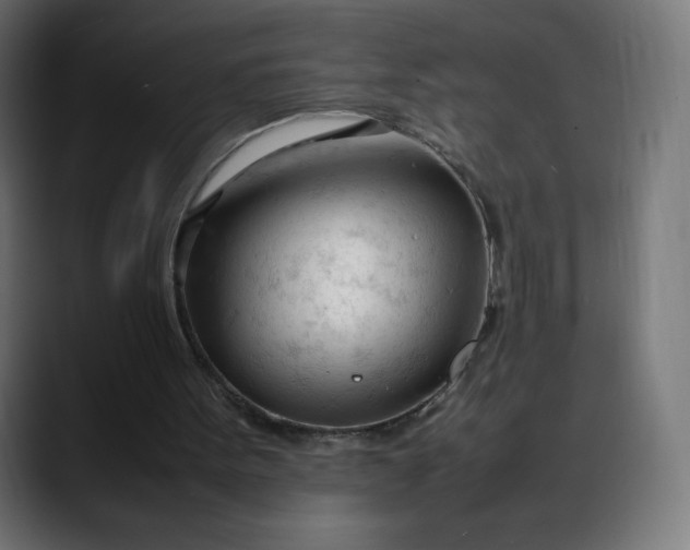 X0000088050099200705251330