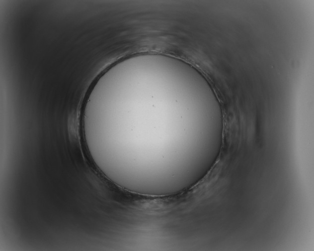 X0000088050100200705251330