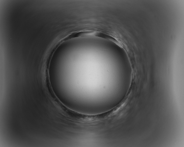 X0000088050101200705251330