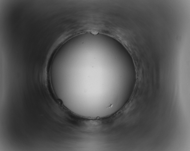 X0000088050102200705251330