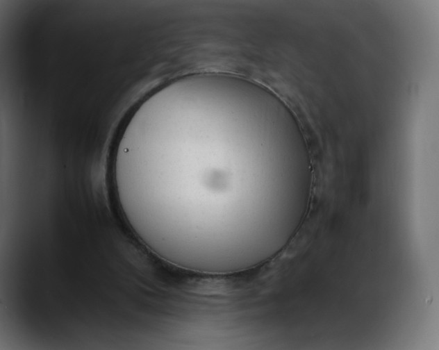 X0000088050104200705251330