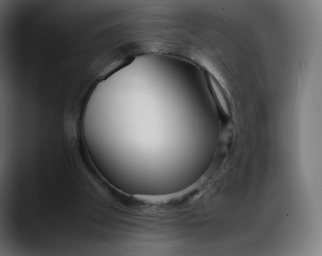 X0000088050105200705251330
