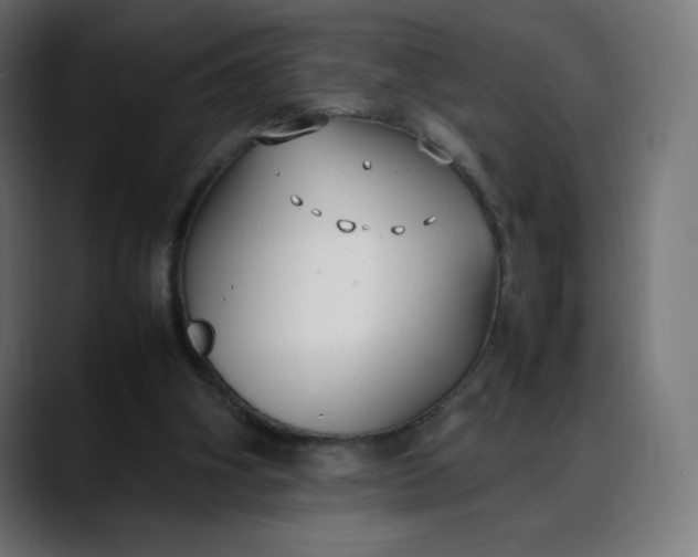 X0000088050106200705251330
