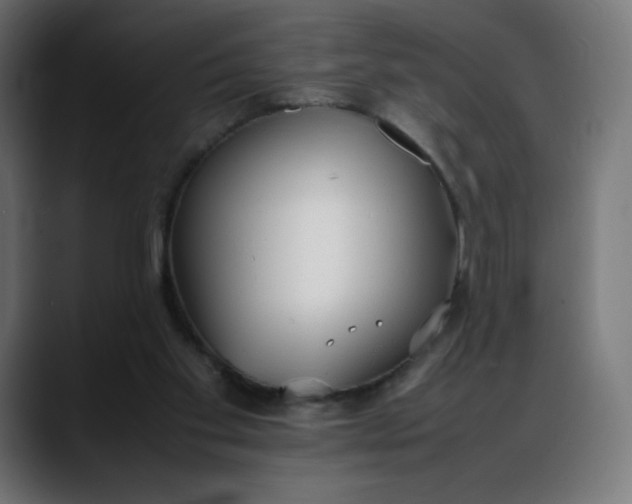 X0000088050109200705251330