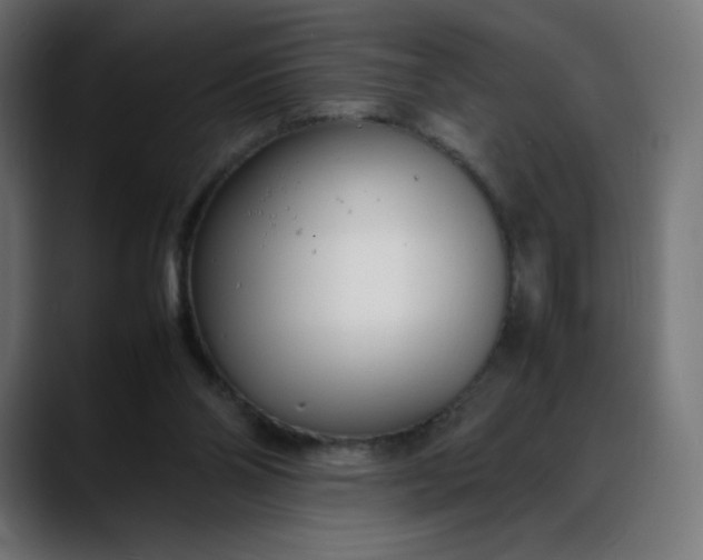 X0000088050110200705251330
