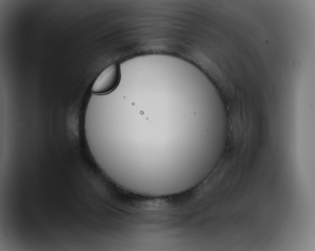 X0000088050112200705251330