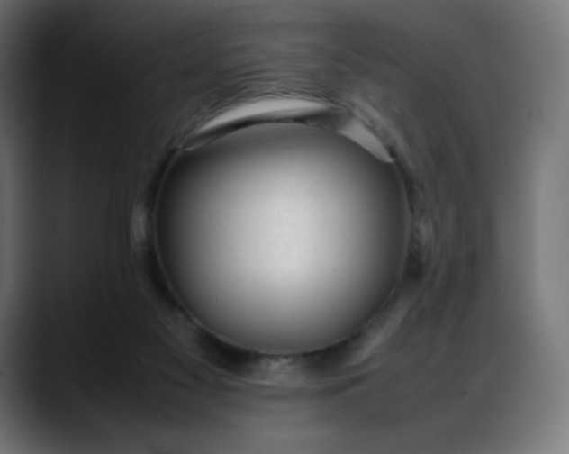 X0000088050117200705251330