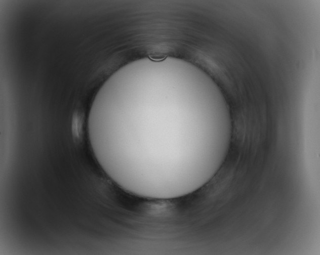 X0000088050118200705251330