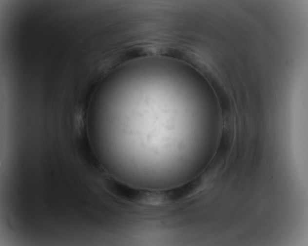 X0000088050127200705251330