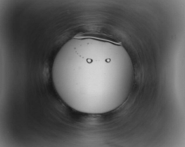 X0000088050128200705251330