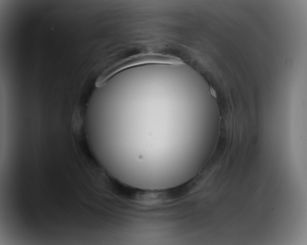 X0000088050129200705251330