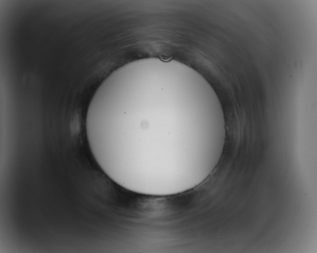 X0000088050132200705251330