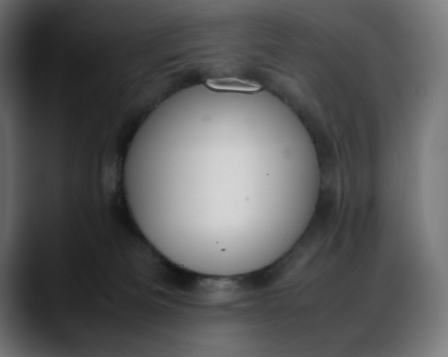 X0000088050133200705251330