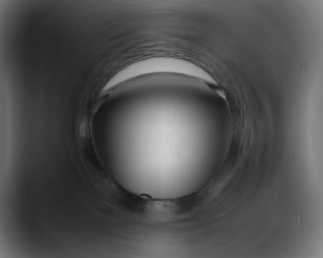X0000088050137200705251330