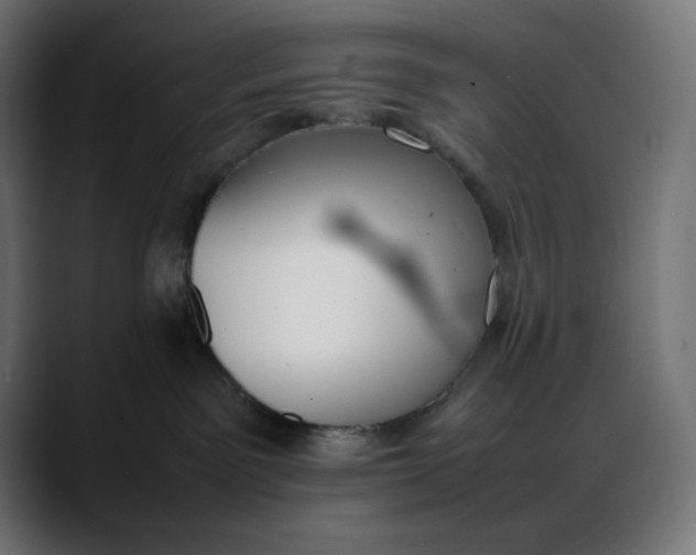 X0000088050141200705251330