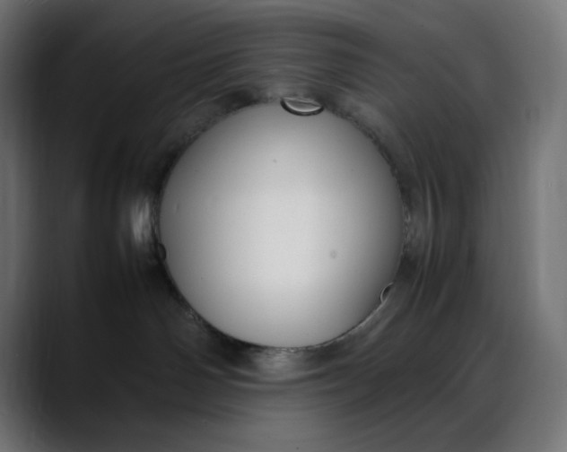 X0000088050142200705251330