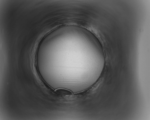 X0000088050145200705251329