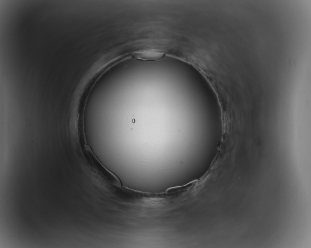 X0000088050150200705251329