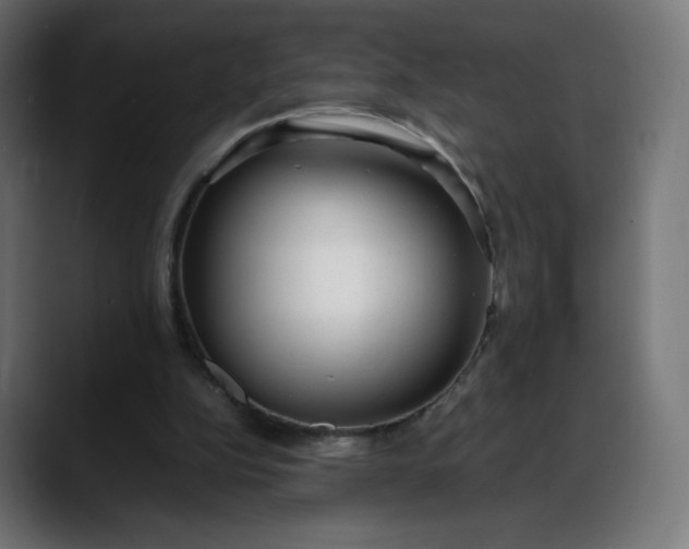 X0000088050152200705251329