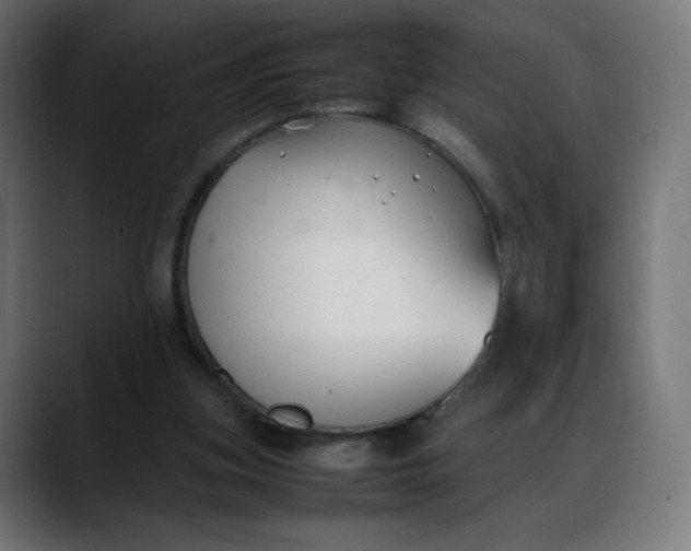 X0000088050155200705251329