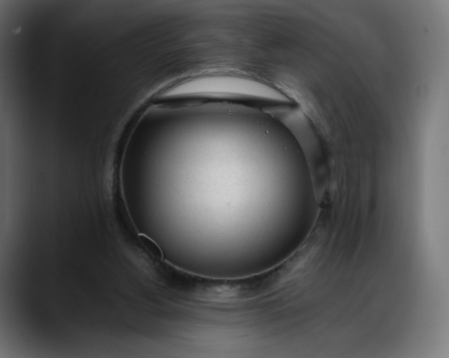 X0000088050156200705251329