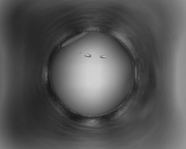 X0000088050157200705251329