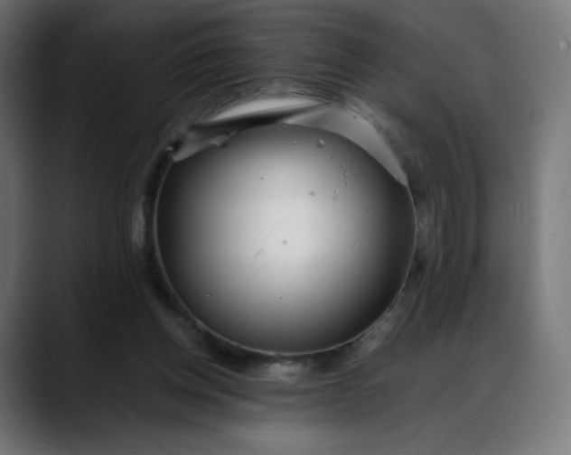 X0000088050158200705251329