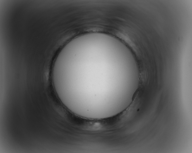 X0000088050159200705251329
