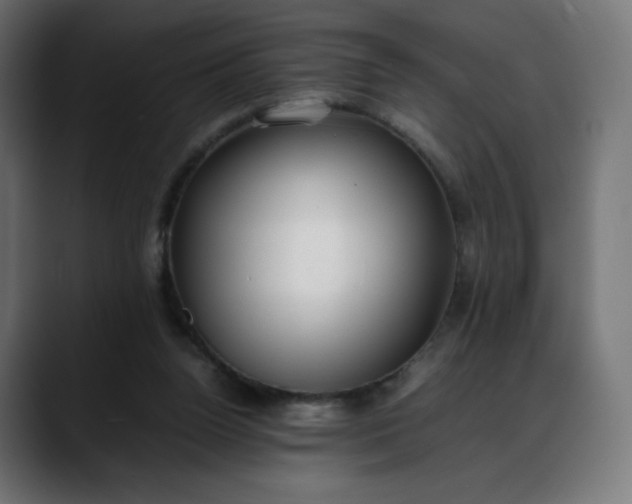 X0000088050160200705251329