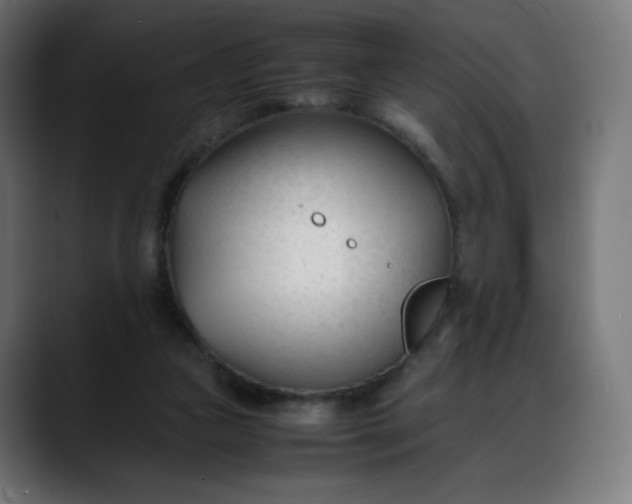 X0000088050161200705251329