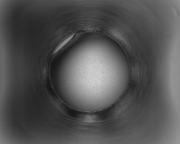 X0000088050165200705251329