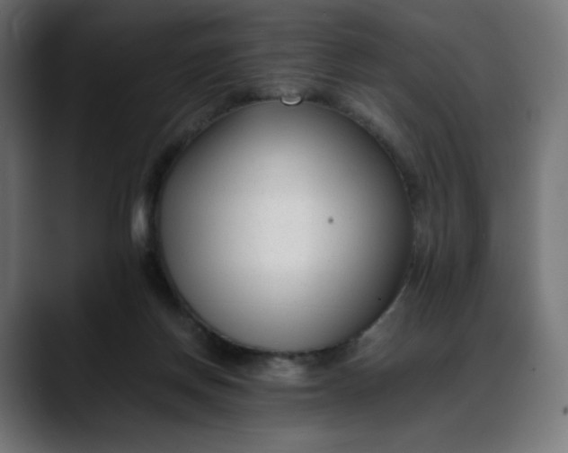 X0000088050166200705251329