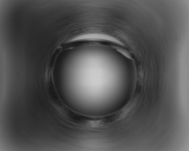 X0000088050168200705251329