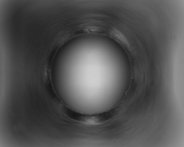 X0000088050169200705251329
