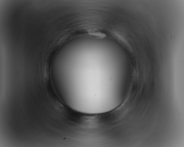 X0000088050170200705251329