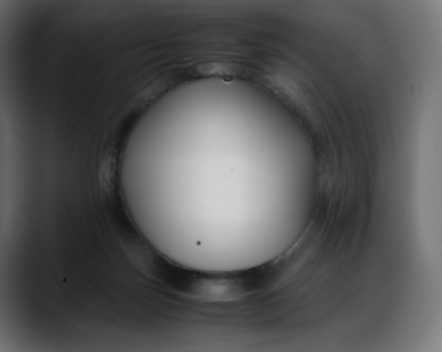 X0000088050171200705251329