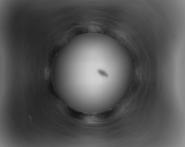 X0000088050177200705251329