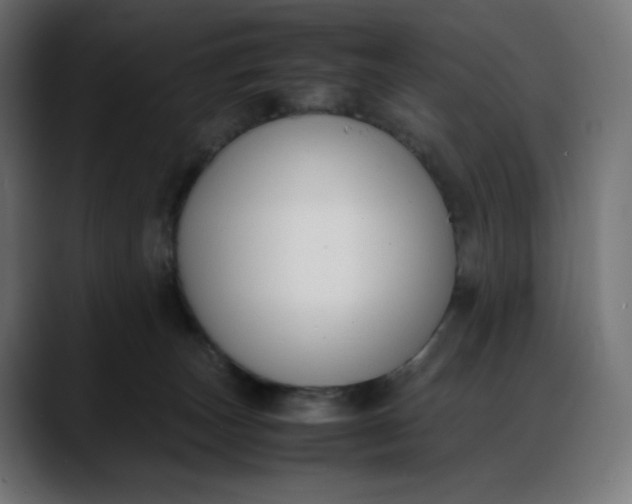 X0000088050179200705251330
