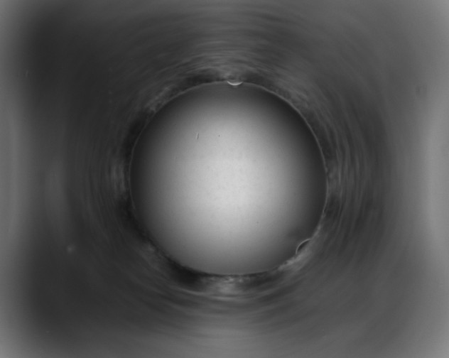 X0000088050182200705251330