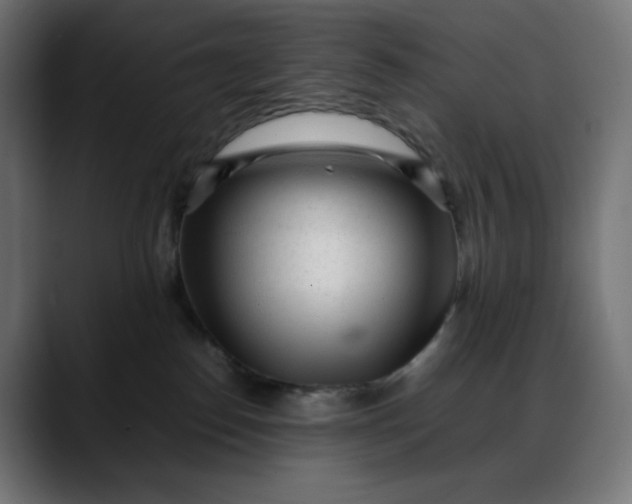 X0000088050186200705251330