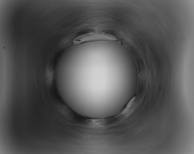 X0000088050188200705251330