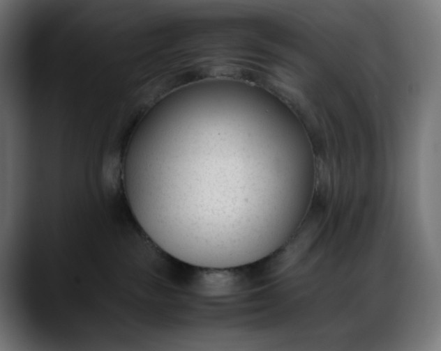 X0000088050189200705251330