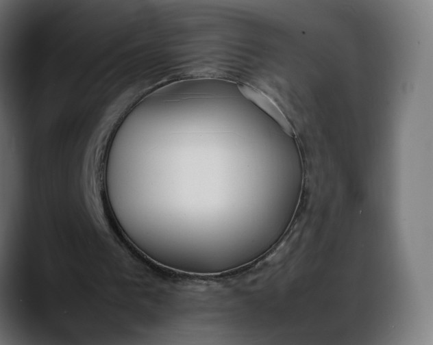 X0000088050193200705251329