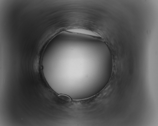 X0000088050194200705251329