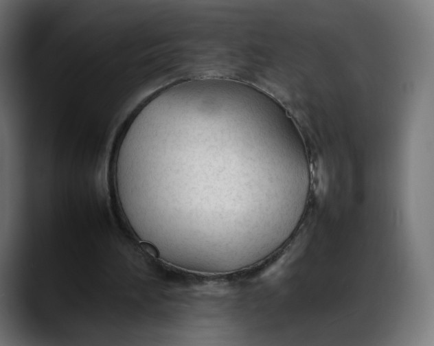 X0000088050196200705251329