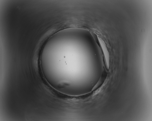 X0000088050197200705251329