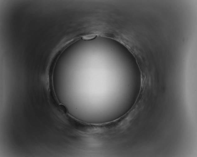 X0000088050198200705251329