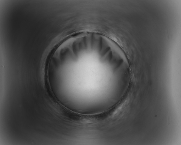 X0000088050199200705251329