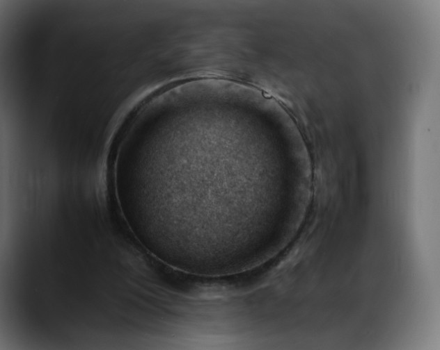 X0000088050200200705251329